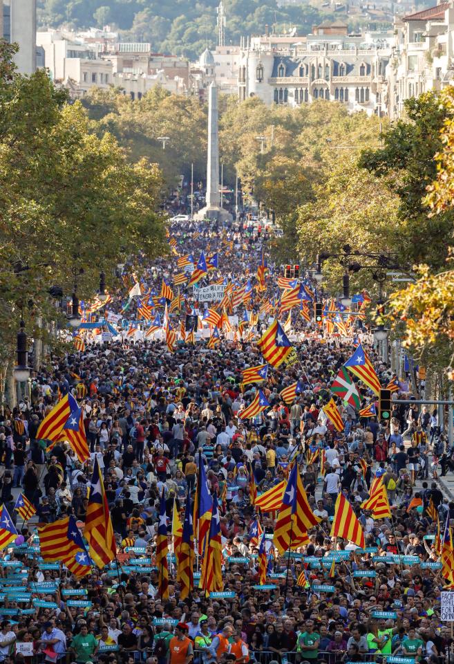  Local police have said 450,000 have joined in the demonstration
