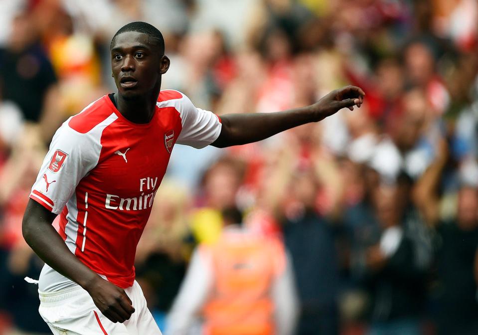  Arsenal signed Yaya Sanogo that summer who turned out to be a massive flop