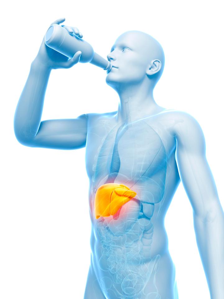Light, moderate and heavy boozing is linked to a greater risk of cancers of the liver, breast, bowel, oesophagus, mouth, throat and larynx