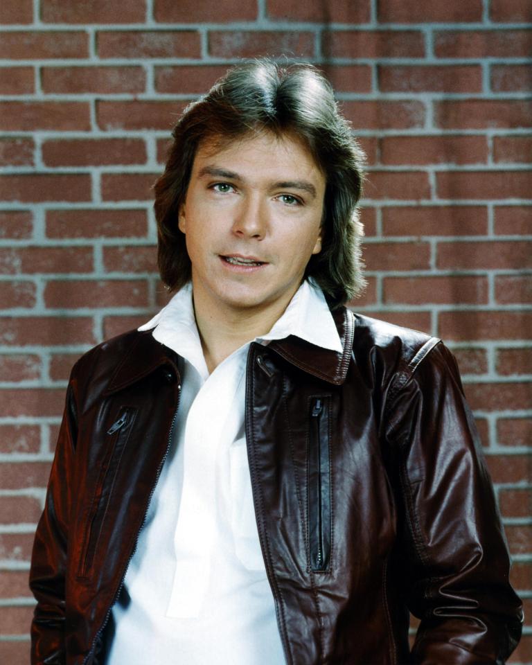  He shot to fame as Keith in The Partridge Family