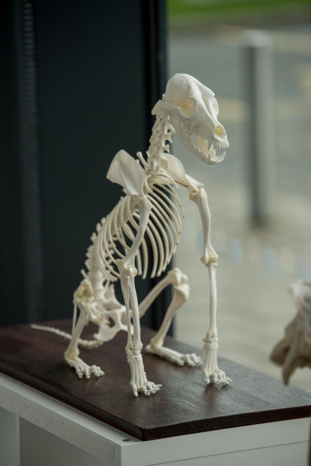  A visit to the forensics lab is not for the faint-hearted