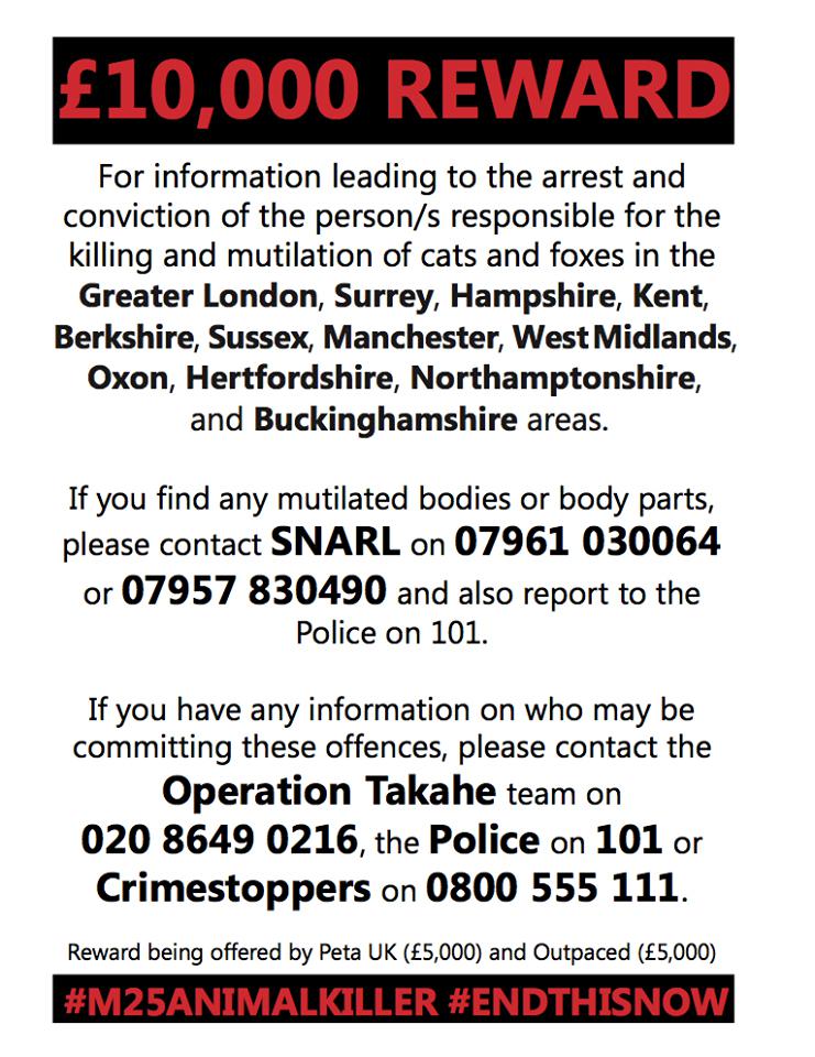  Police have offered a £10,000 reward for information leading to the cat killer's arrest
