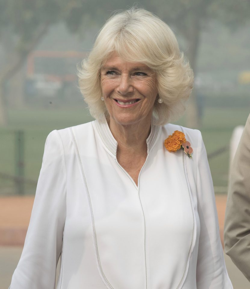  With no Diana, Camilla may lend some motherly support on the wedding day