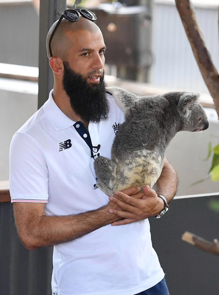 Moeen Ali also got his hands on a koala as he prepares for the First Test on November 23