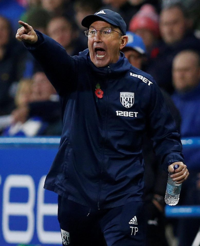  It seems Tony Pulis is prepared to accept a 'firefighting' role at Goodison Park