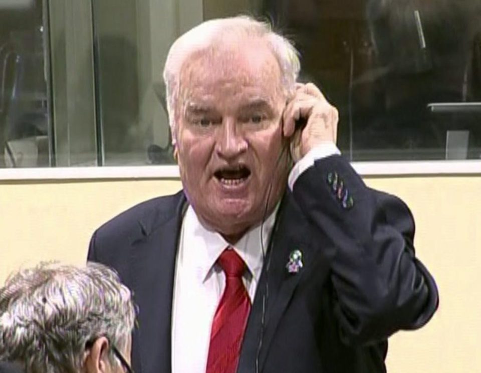 Ratko Mladic has been found guilty of genocide and jailed for life 