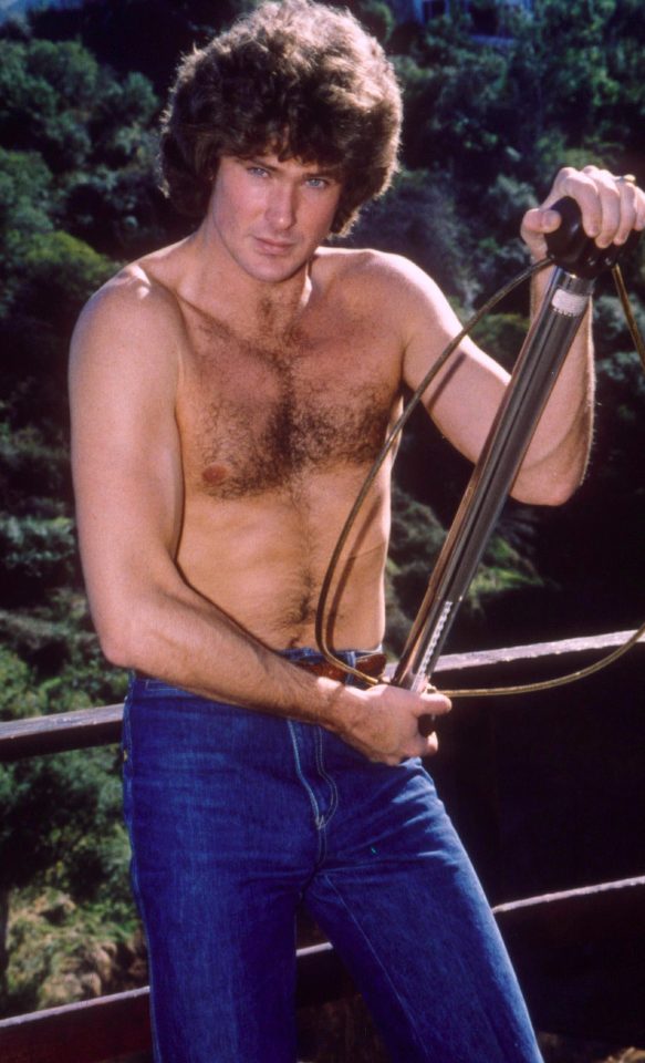  David shot to fame in the 70s