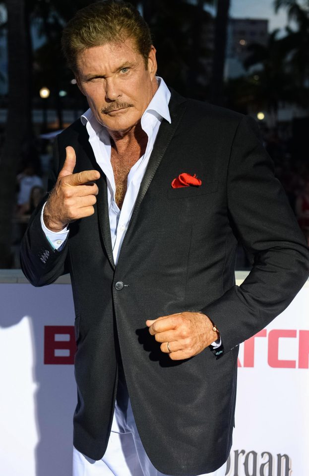  David Hasslehoff is an American actor