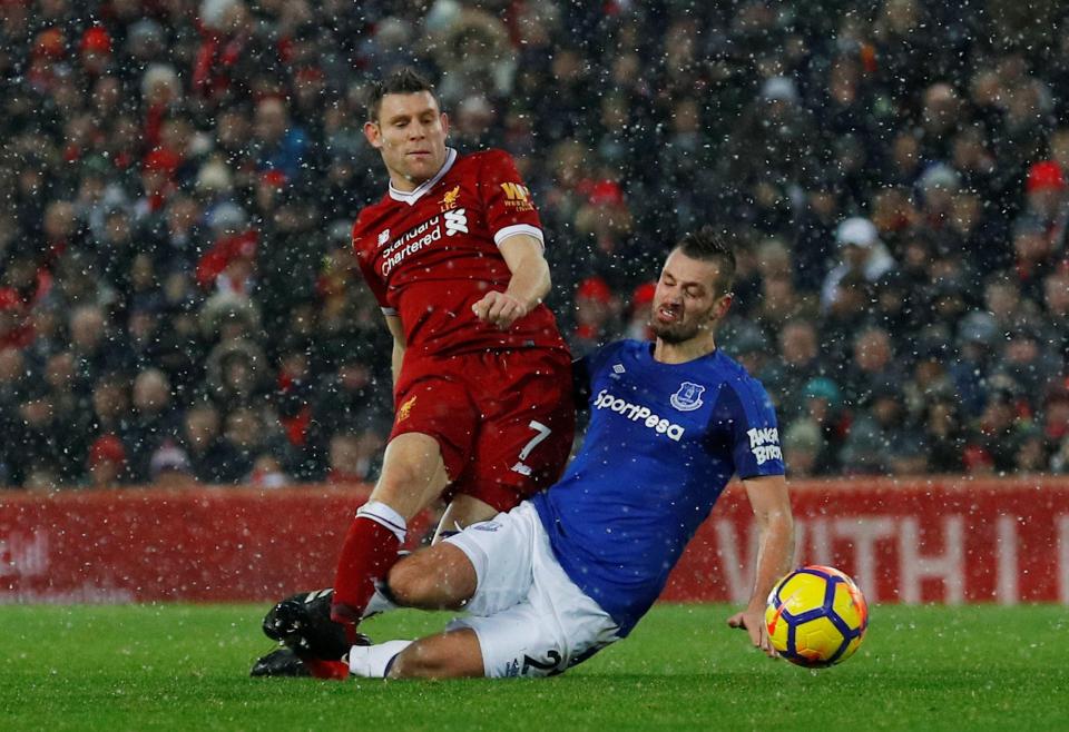 Morgan Schneiderlin joined Everton with high expectations 