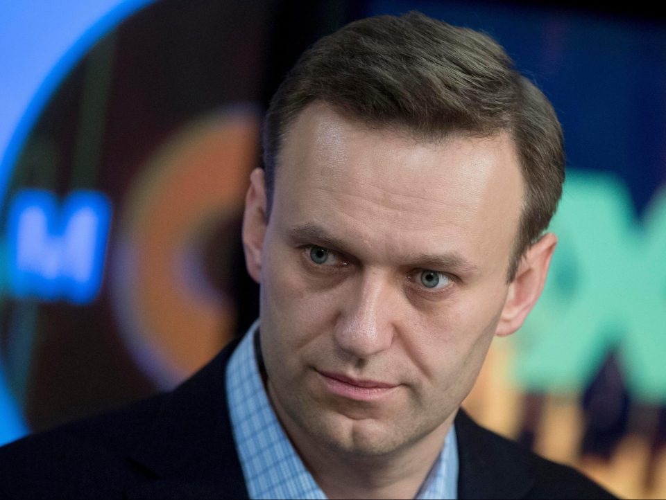 It came after the US State Department criticised Russia from barring opposition leader Alexei Navalny, pictured, from taking part in the 2018 presidential election