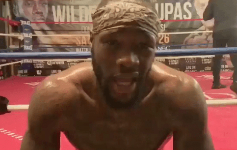 Deontay Wilder called himself 'half human, half hybrid'