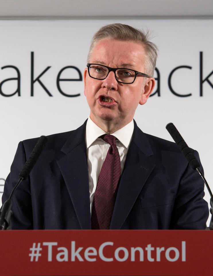  A Cabinet source said the study was an attempt to bounce Michael Gove pictured) and Boris into accepting close EU alignment
