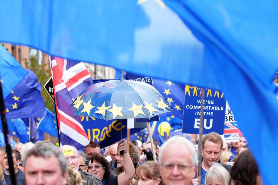  Some Remainers are still campaigning against Brexit, such as this protest by thousands of Stop Brexit supporters through Manchester in October