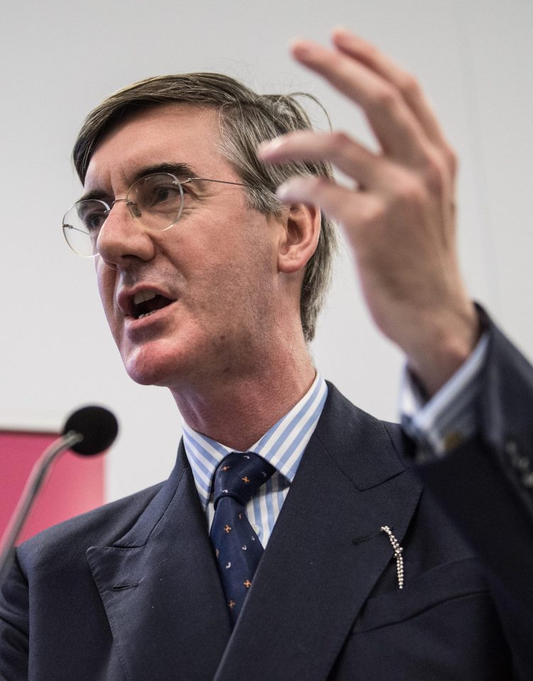  Leading Brexiteer Jacob Rees-Mogg urged Theresa May to 'get tougher' on Brussels