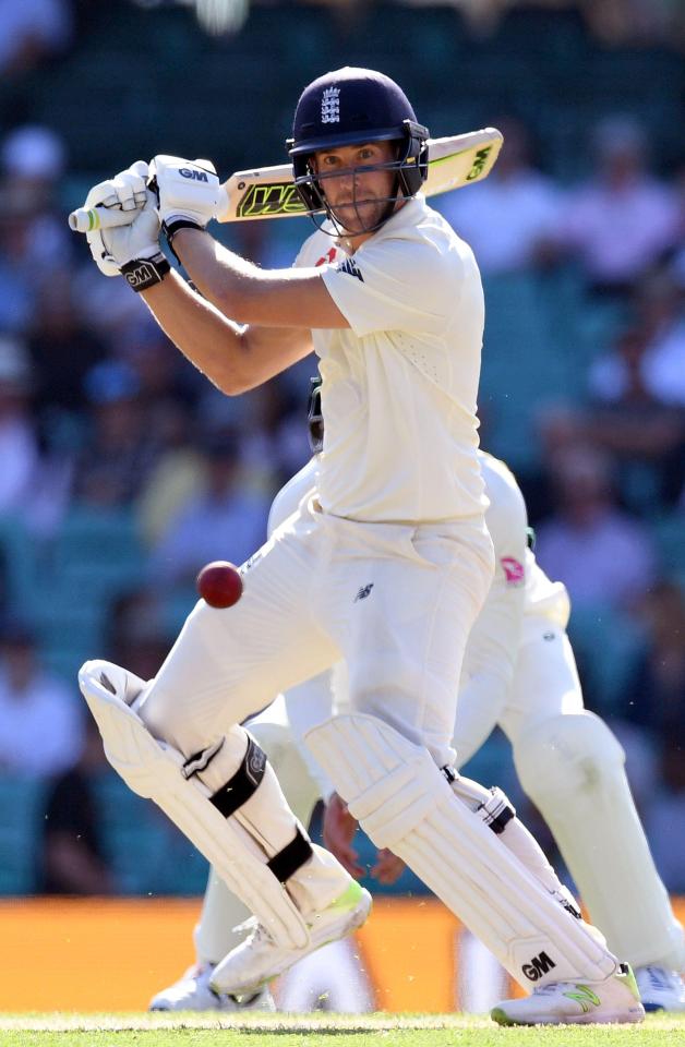  Middlesex man Dawid Malan was dropped and made a desperate dive to remain in