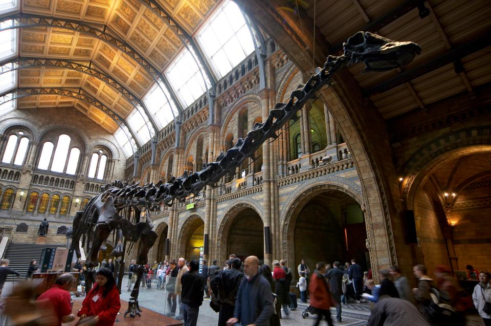  Check out the free museums in your area
