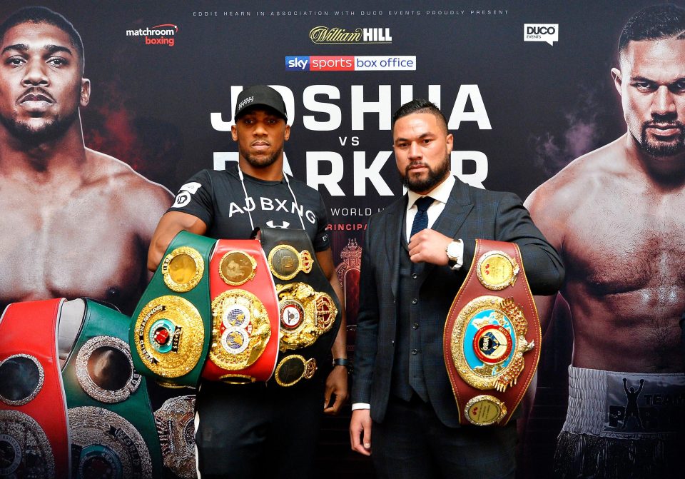 Anthony Joshua has slammed Joseph Parkers tactics to land the fight
