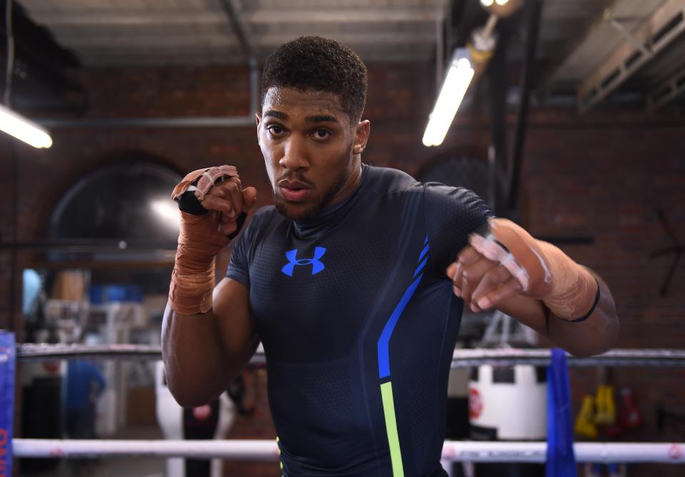 Anthony Joshua is expected to fight Tyson Fury next year