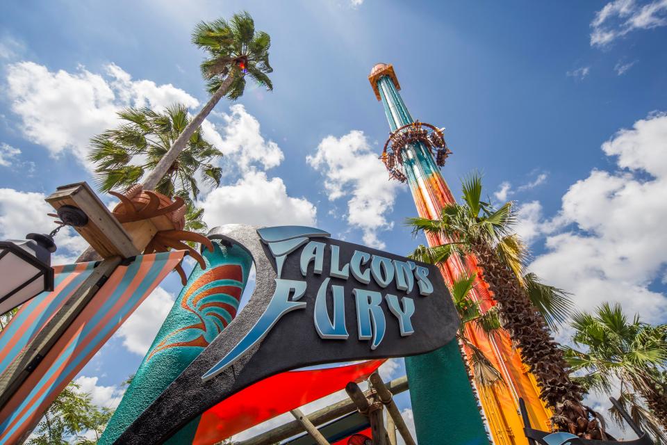  Falcons Fury, Busch Gardens