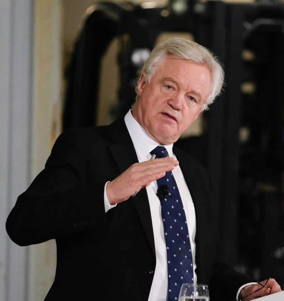  Pressure piled on Brexit Secretary David Davis as he backtracked in a row with Ireland - and said anybody could do his job