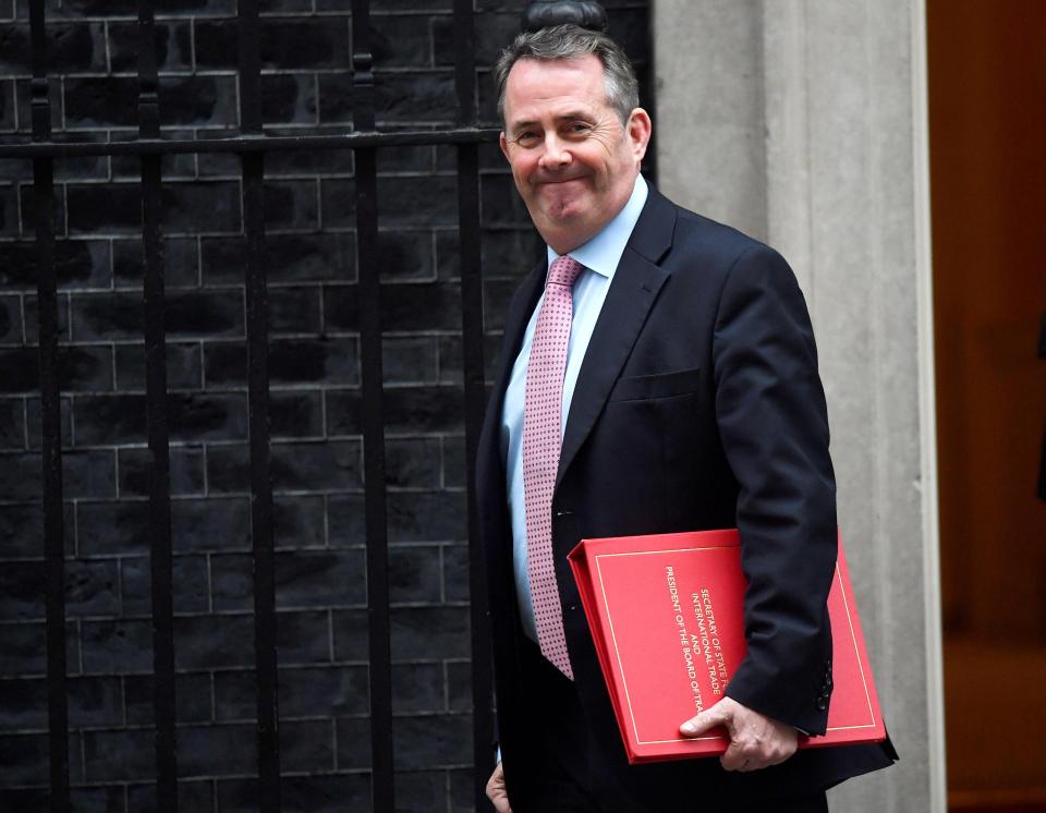  Trade Secretary Liam Fox told hardline Tory Eurosceptics they will have to “live with disappointment” and accept a softer Brexit
