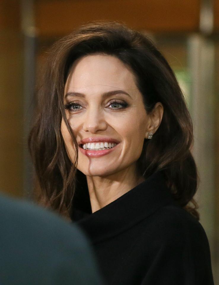 Jolie said the UNHCR and NATO going to focus on training, reporting, monitoring and awareness as a way bringing justice to rape victims in war