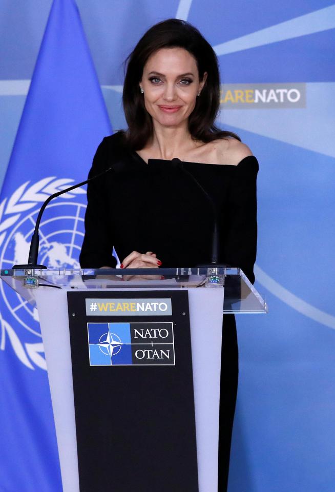 Jolie, who earlier this week visited a Syrian refugee camp in Jordan, made her appeal to the US-led alliance's top decision-making body
