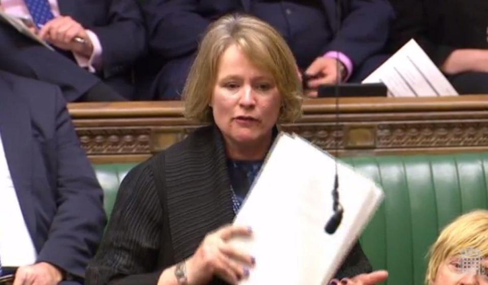 The PM was responding to a question from the Tory MP Vicky Ford