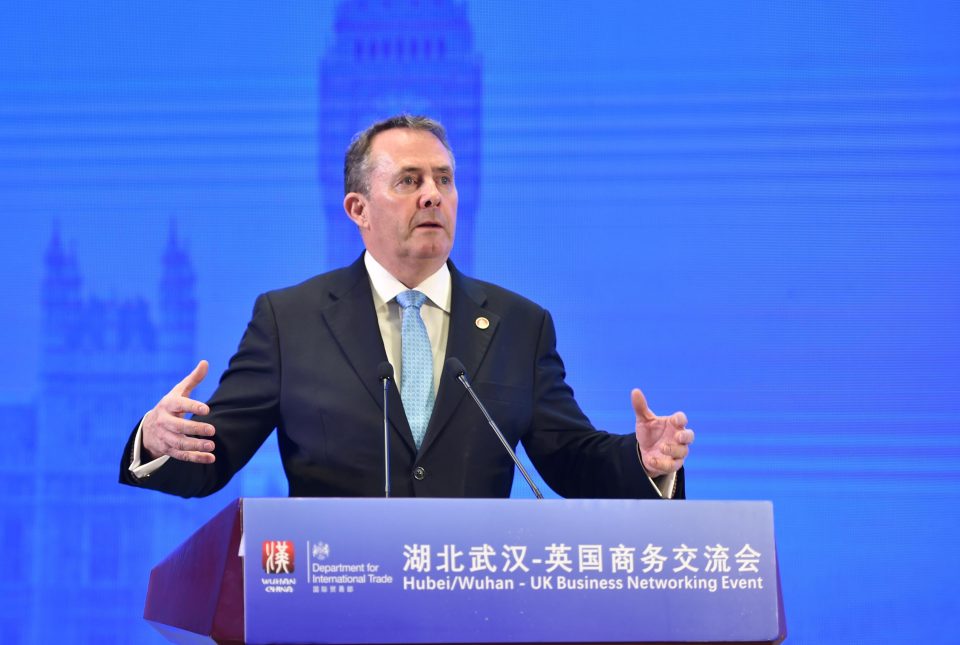  Liam Fox rejected the idea of staying in any kind of customs union because it would mean we would be bound by trade rules