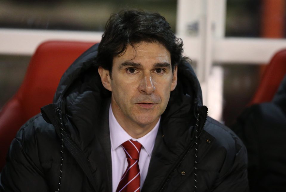  Aitor Karanka took over from sacked Mark Warburton in January