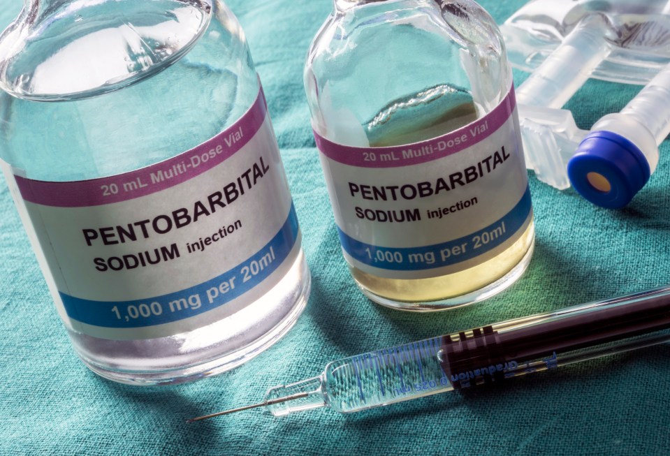 Vials with sodium pentobarbital used for euthanasia and lethal injection in a hospital