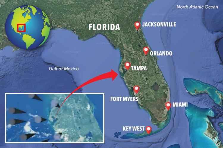 Shocking CGI footage from one of the videos appeared to show Russian rockets targeting Florida, with Tampa Bay clearly visible