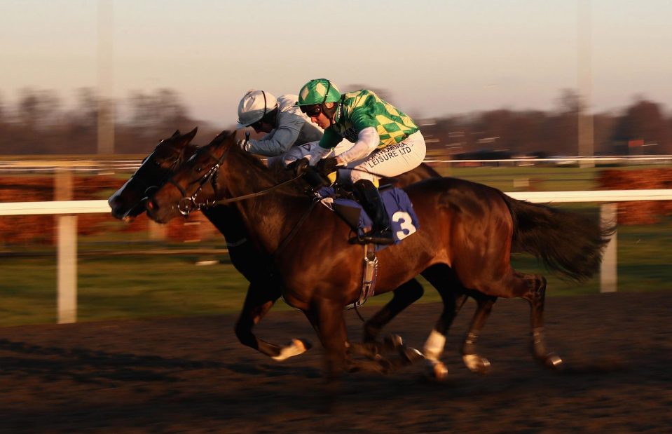  Second Thought is a star name in the final of the Mile