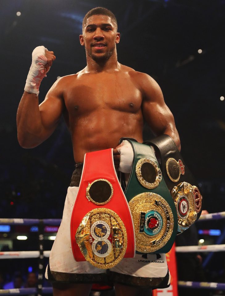 Joshua successfully defended his belts against Carlos Takam in October