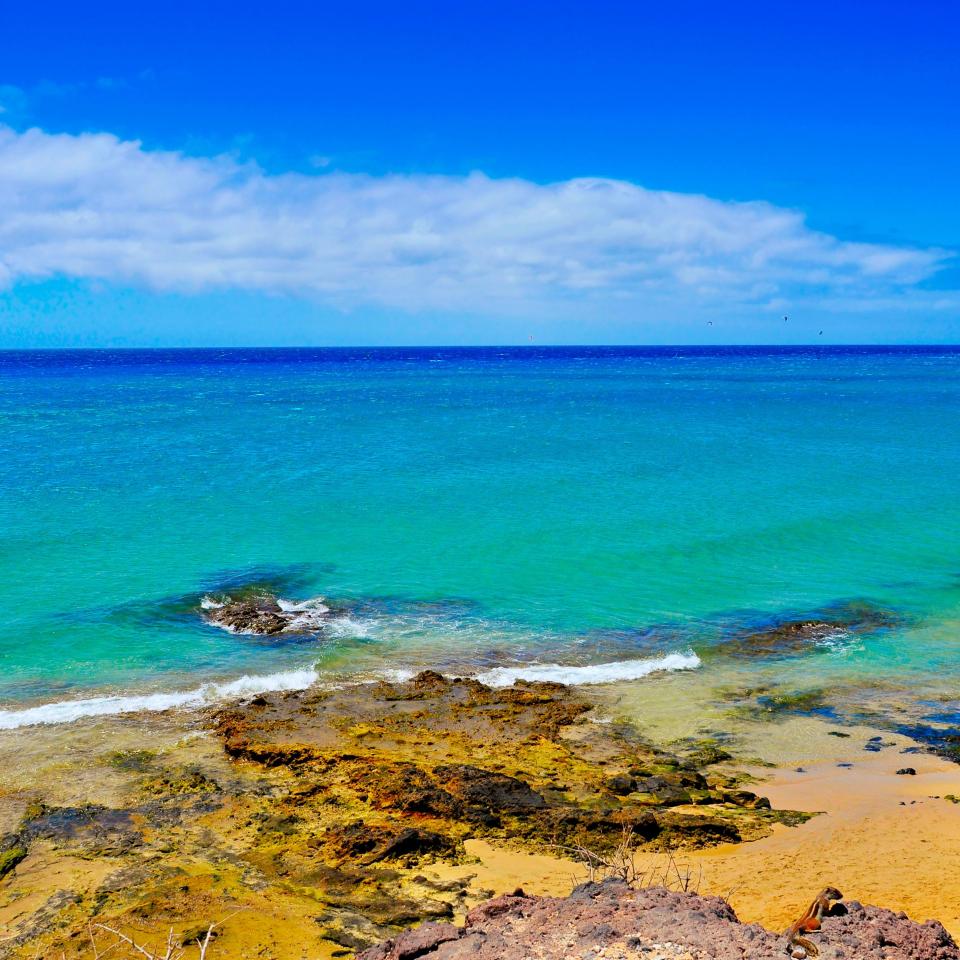  Sotavento beach is over five miles long of unspoiled sands