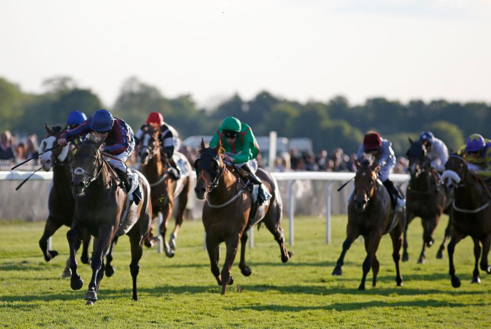 Windsor racecourse