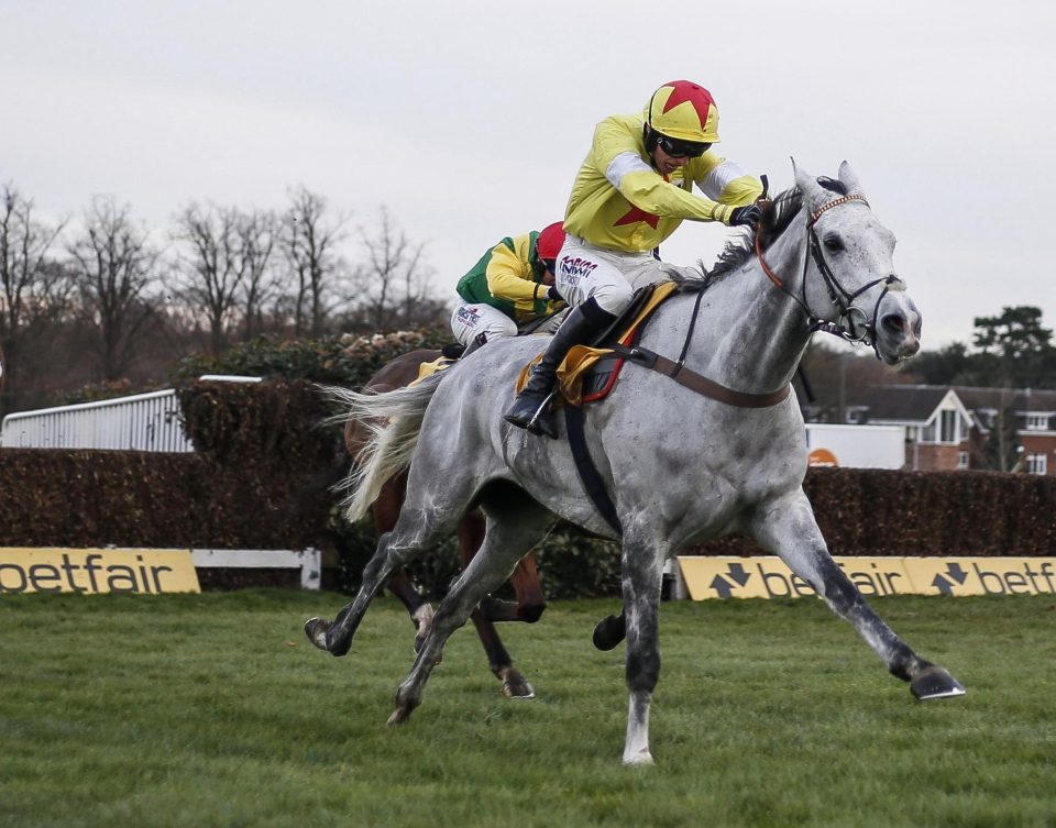  Politologue to try and make amends for late Aintree fall last year