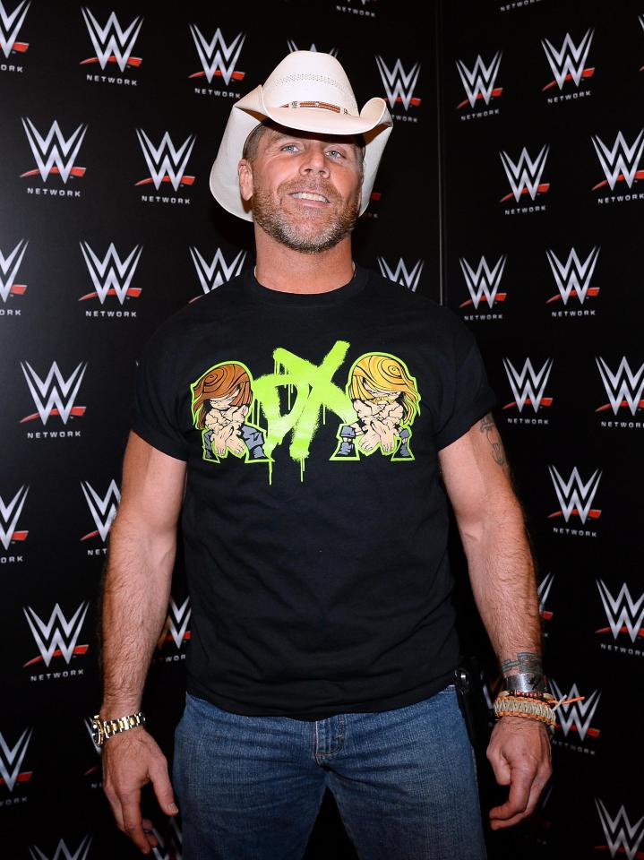 Shawn Michaels reportedly rejected an 'insane' cash offer to return to WWE