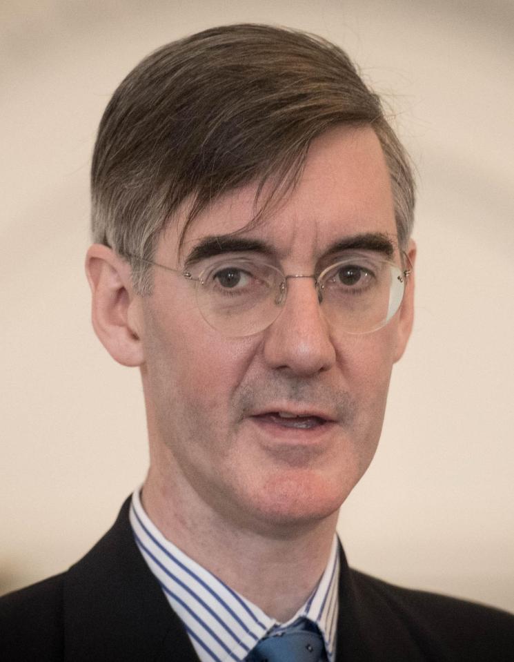  Jacob Rees-Mogg called the move 'un-Conservative', saying it will target the least well off the most