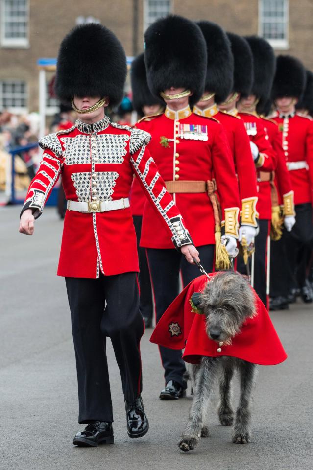  Domhnall has served with the Irish Guards since 2013