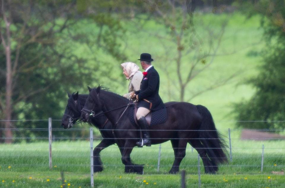The Queen, pictured today, celebrates the birth of her latest great-grandchild with a ride at Windsor Castle