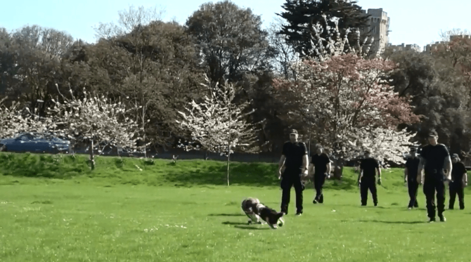 Police have been conducting searches around Windsor