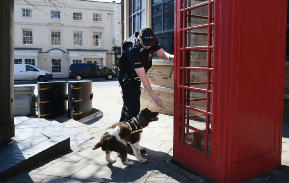 Police dogs have been involved in the increasing security checks