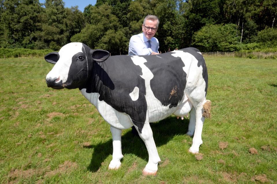  Michael Gove has thrown his support behind the PM's latest Brexit plan