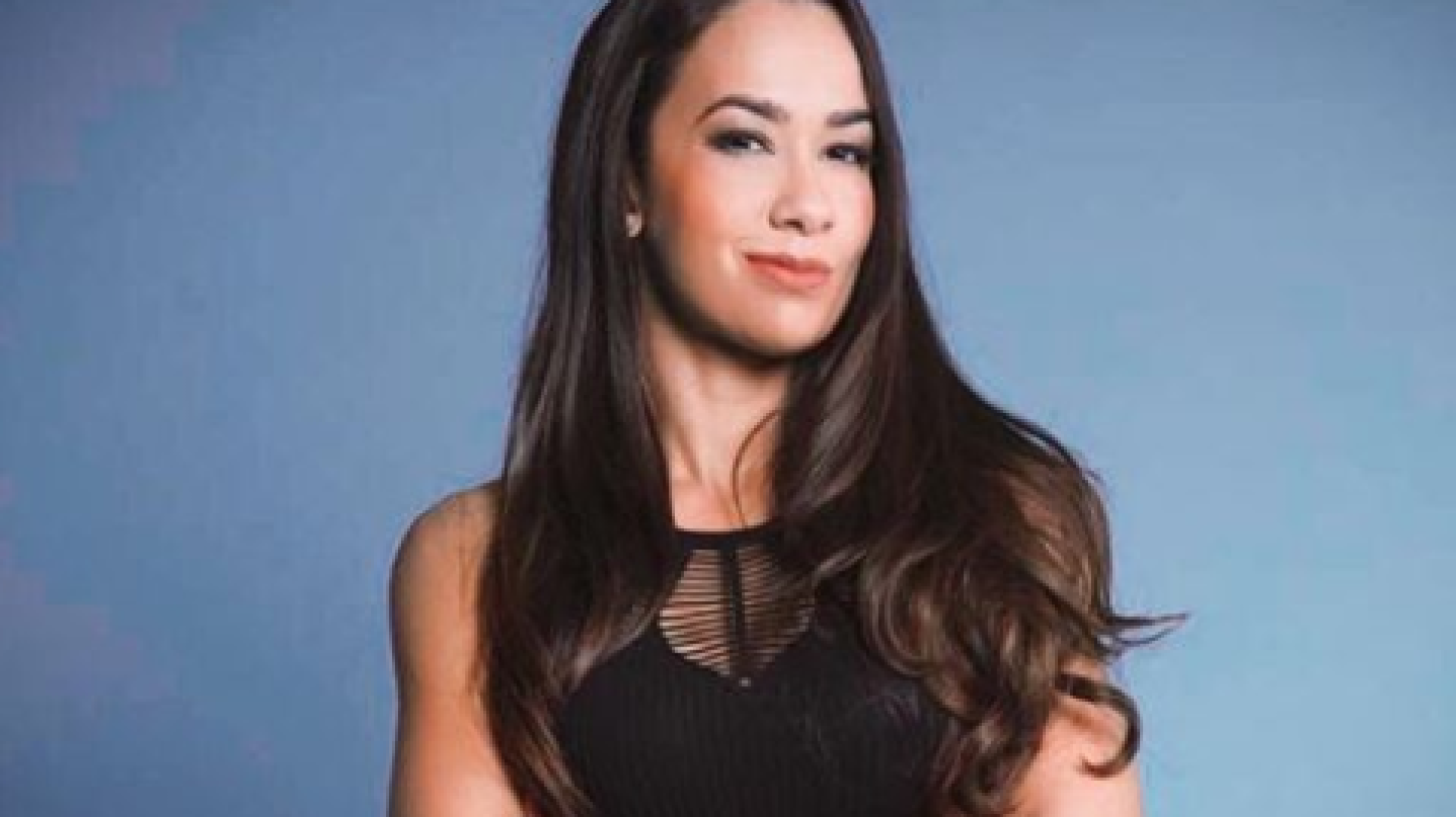 AJ Lee became a household name through her work in WWE