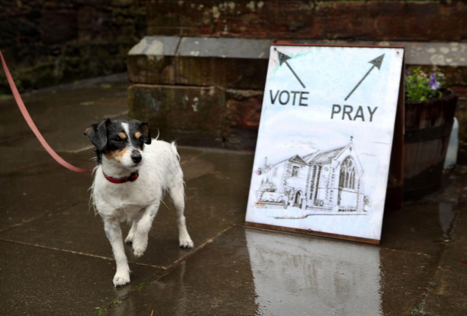  Dogs can actually be taken into the polling stations with you as you vote