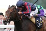 The Tin Man (left) can get his season off to a good start at Windsor