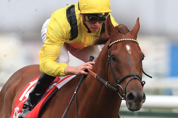 Addeybb will step up to Group 1 level for the first time in the Lockinge