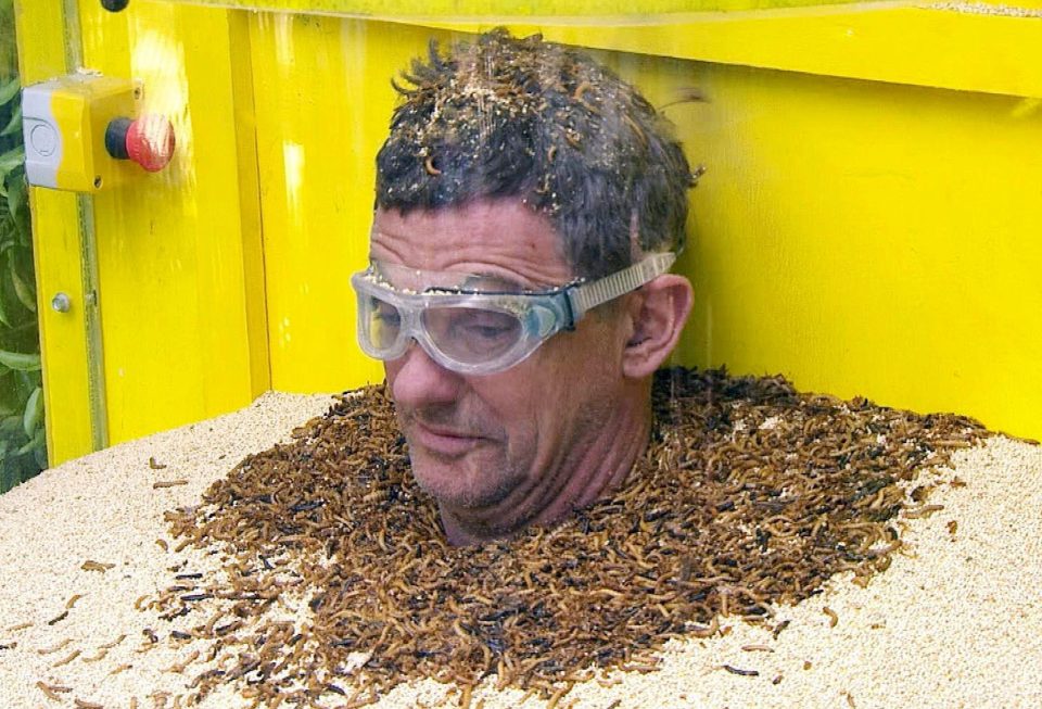  Matthew appeared on Im A Celebrity...Get Me Out of Here in 2013
