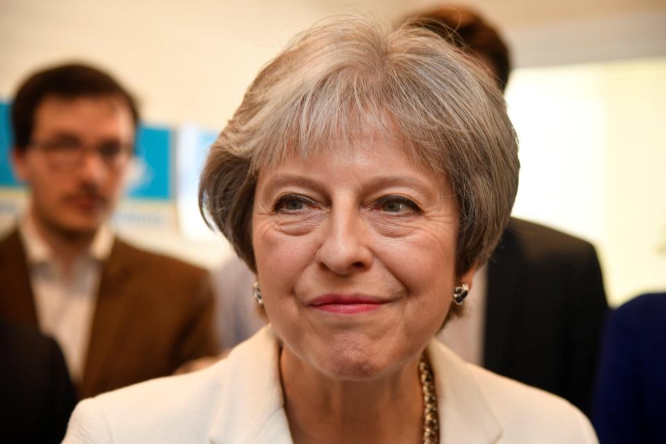 Prime Minister Theresa May's ideas are facing tough opposition from Boris Johnson and other hardline Leavers
